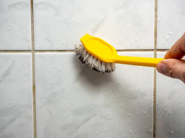 Certified Mold Removal in Idalou, TX