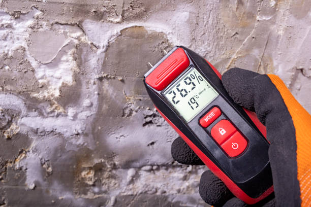 Crawl Space Mold Removal in Idalou, TX