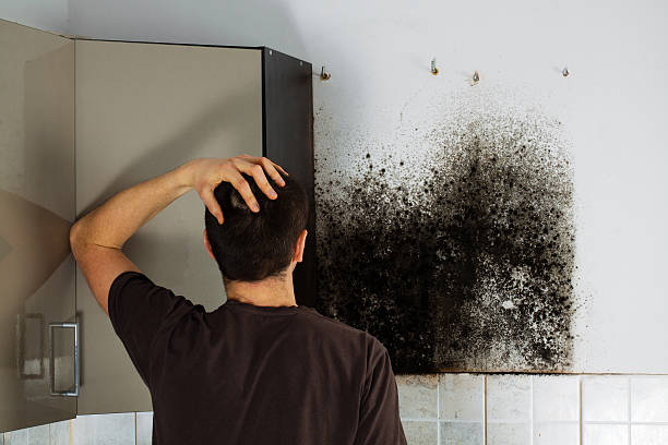 Best Office Mold Removal Services  in Idalou, TX